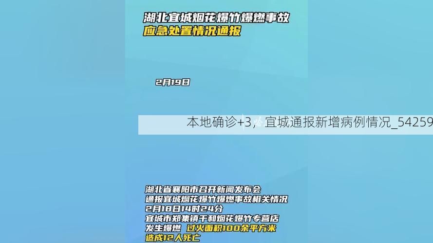 本地确诊+3，宜城通报新增病例情况_54259