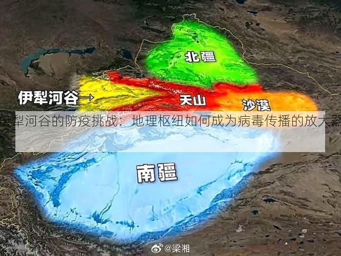 伊犁河谷的防疫挑戰(zhàn)：地理樞紐如何成為病毒傳播的放大器？