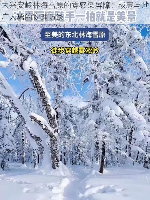 大興安嶺林海雪原的零感染屏障：極寒與地廣人稀的物理防線