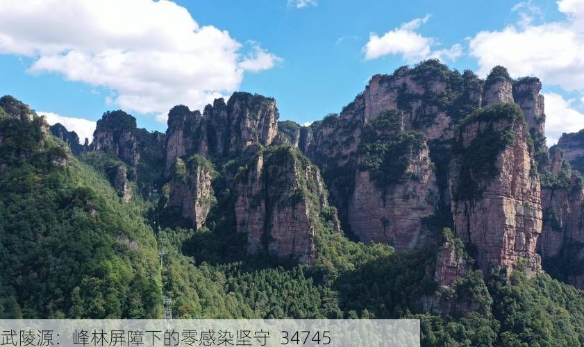 武陵源：峰林屏障下的零感染坚守_34745