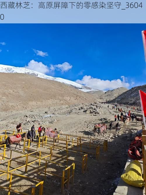 西藏林芝：高原屏障下的零感染坚守_36040