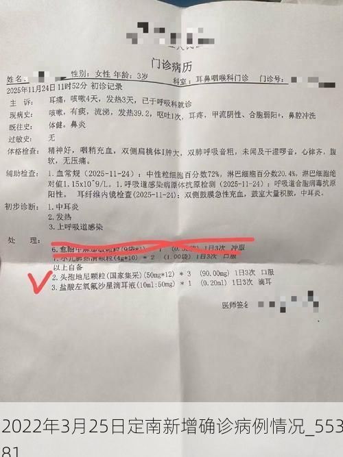 2022年3月25日定南新增确诊病例情况_55381