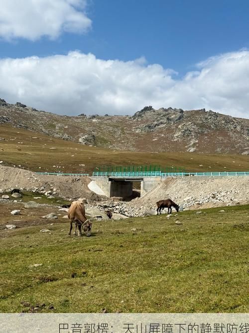 巴音郭楞：天山屏障下的靜默防線