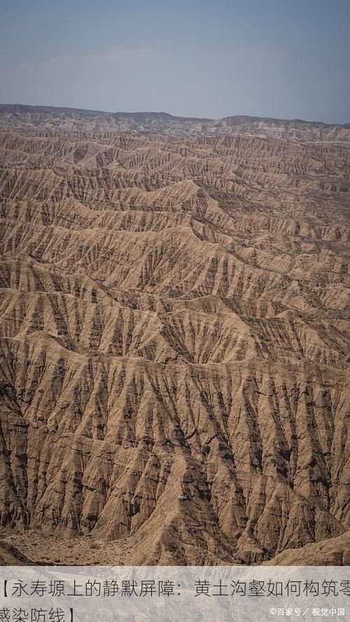 【永壽塬上的靜默屏障：黃土溝壑如何構(gòu)筑零感染防線】