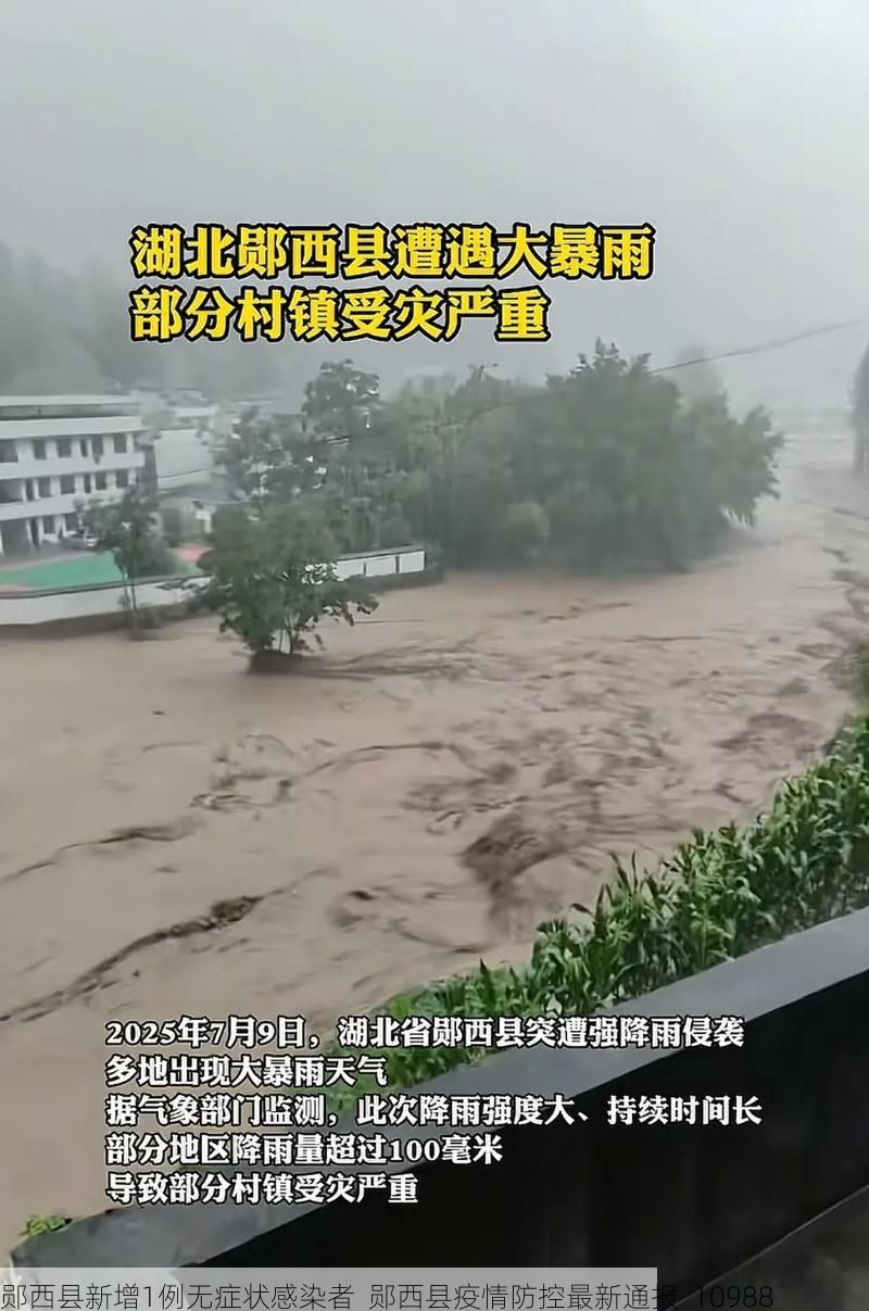 郧西县新增1例无症状感染者  郧西县疫情防控最新通报_10988