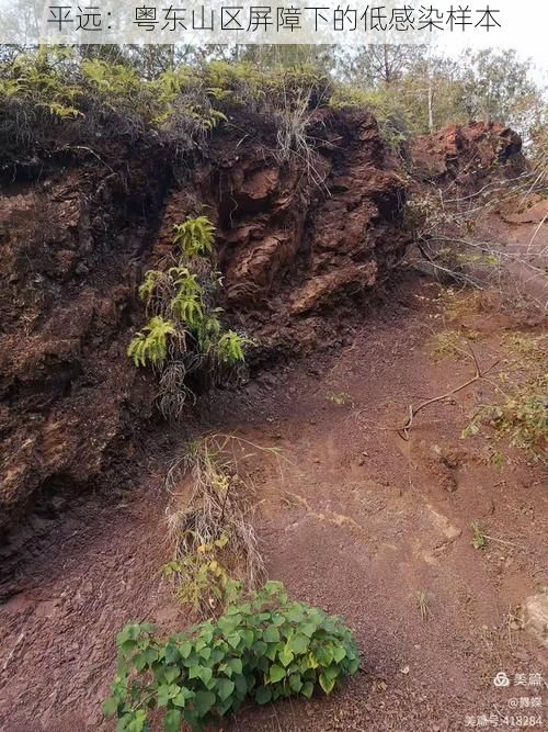 平远：粤东山区屏障下的低感染样本