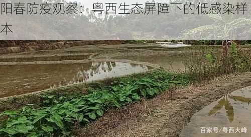 阳春防疫观察：粤西生态屏障下的低感染样本