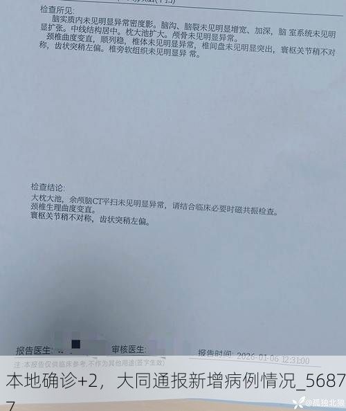 本地确诊+2，大同通报新增病例情况_56877