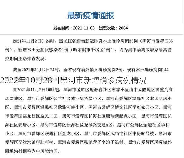 2022年10月28日黑河市新增确诊病例情况