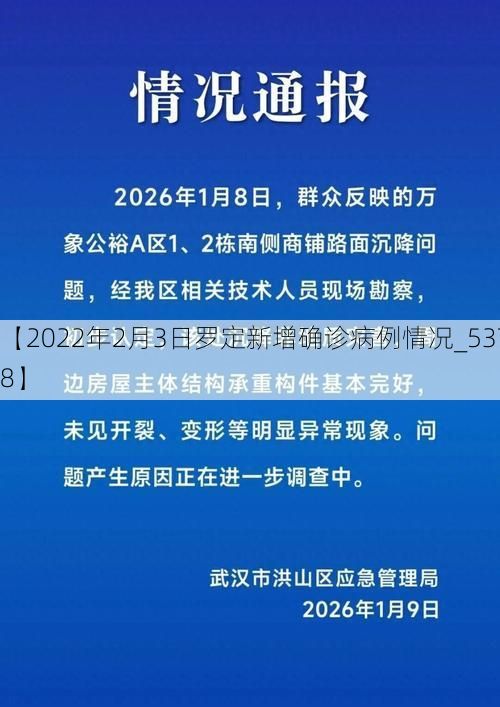 【2022年2月3日罗定新增确诊病例情况_53738】