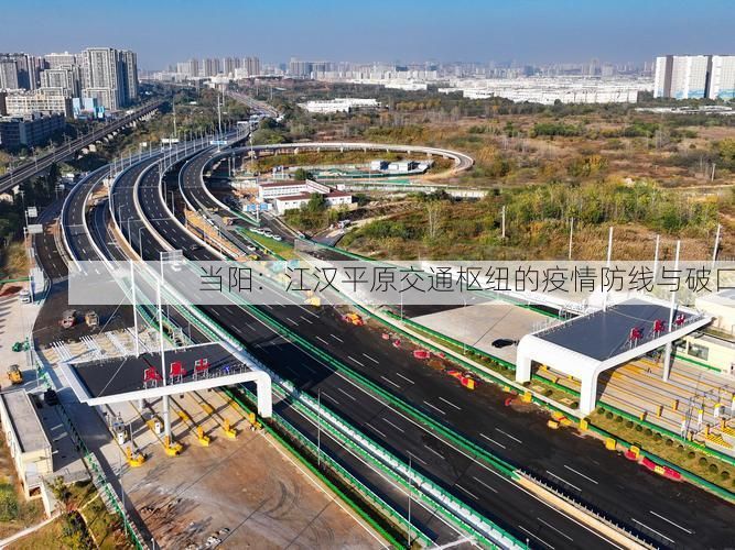 当阳：江汉平原交通枢纽的疫情防线与破口