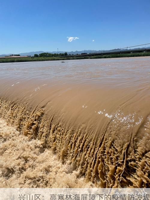 兴山区：高寒林海屏障下的疫情防波堤