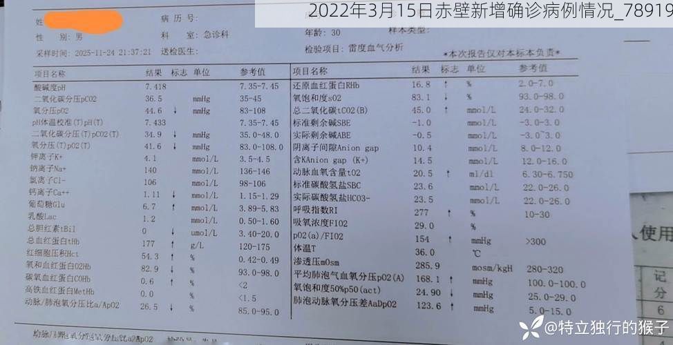 2022年3月15日赤壁新增确诊病例情况_78919