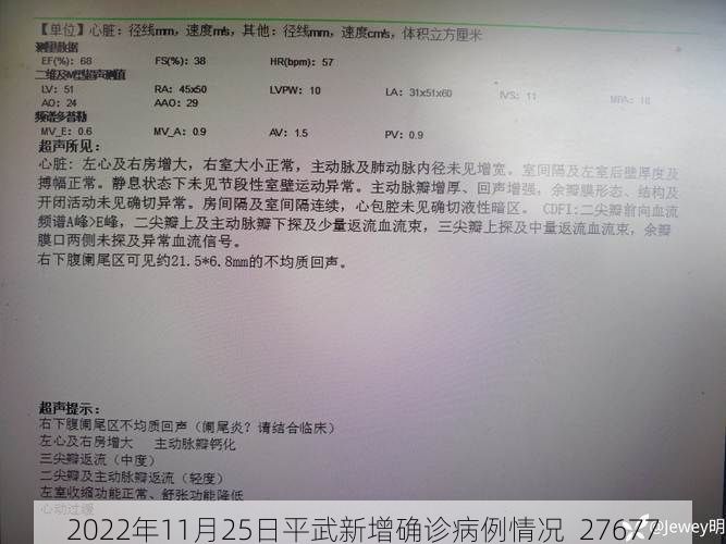 2022年11月25日平武新增确诊病例情况_27677