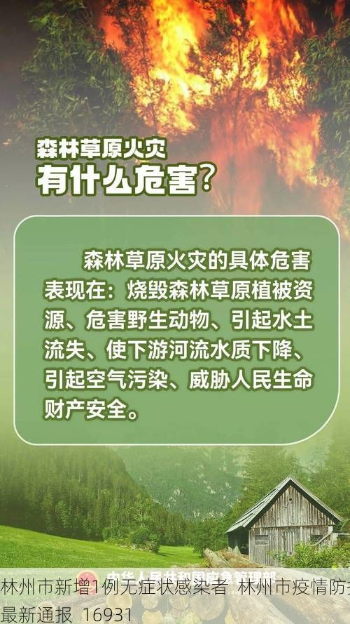 林州市新增1例无症状感染者  林州市疫情防控最新通报_16931