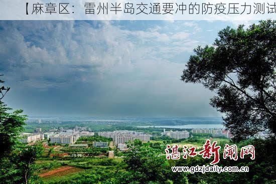 【麻章区：雷州半岛交通要冲的防疫压力测试】