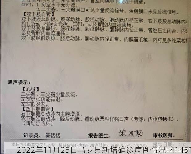 2022年11月25日马龙县新增确诊病例情况_41451