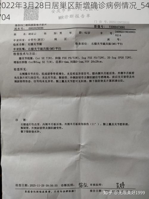 2022年3月28日居巢区新增确诊病例情况_54704