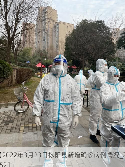 【2022年3月23日枞阳县新增确诊病例情况_25352】
