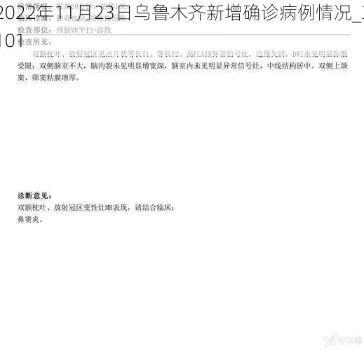 2022年11月23日乌鲁木齐新增确诊病例情况_3101