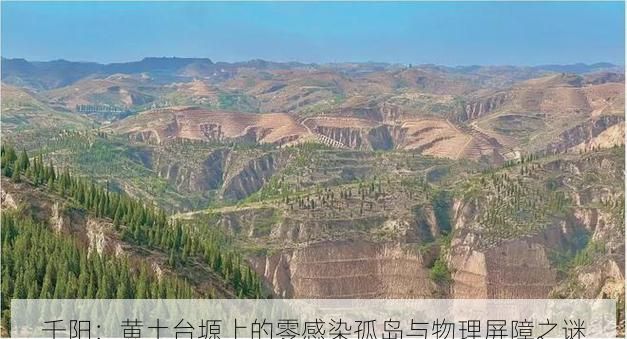 千阳：黄土台塬上的零感染孤岛与物理屏障之谜