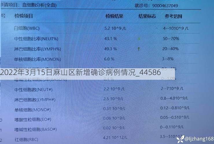 2022年3月15日麻山区新增确诊病例情况_44586