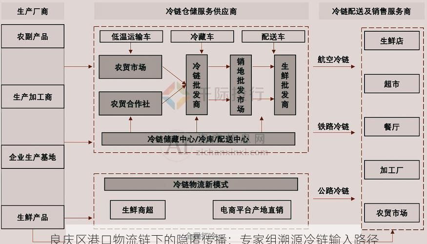 良庆区港口物流链下的隐匿传播：专家组溯源冷链输入路径