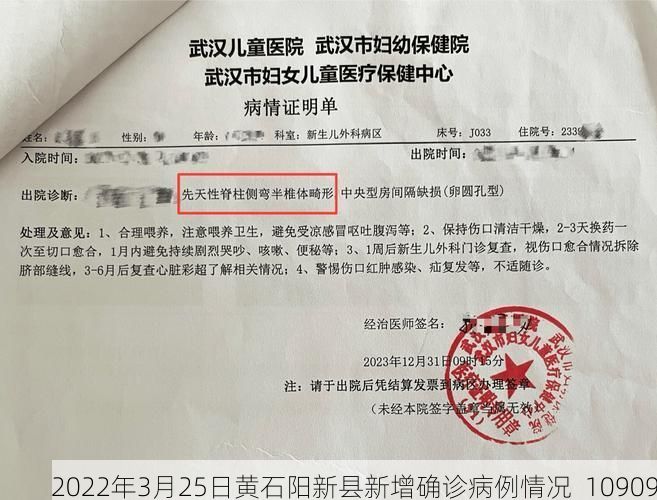 2022年3月25日黄石阳新县新增确诊病例情况_10909