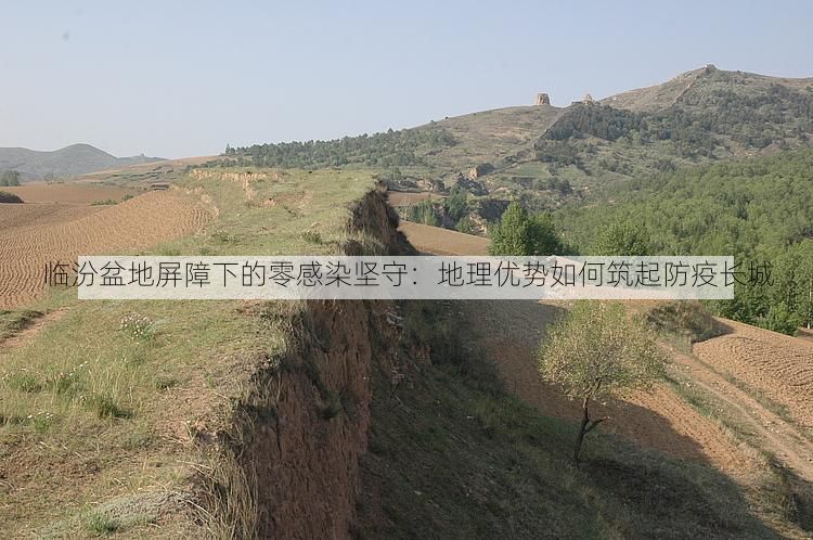 临汾盆地屏障下的零感染坚守：地理优势如何筑起防疫长城