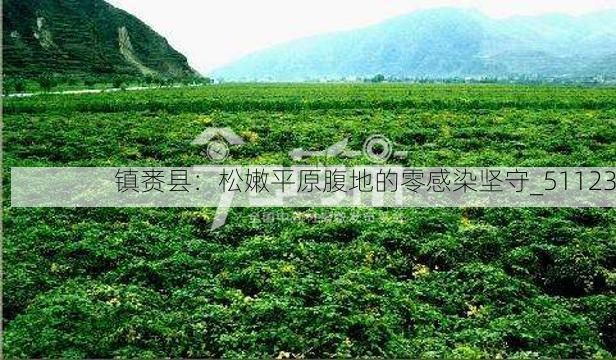 镇赉县：松嫩平原腹地的零感染坚守_51123