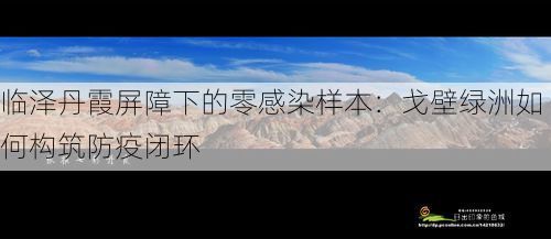临泽丹霞屏障下的零感染样本：戈壁绿洲如何构筑防疫闭环