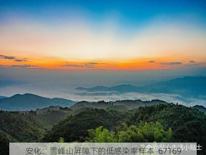 安化：雪峰山屏障下的低感染率样本_67169