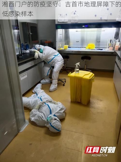 湘西门户的防疫坚守：吉首市地理屏障下的低感染样本