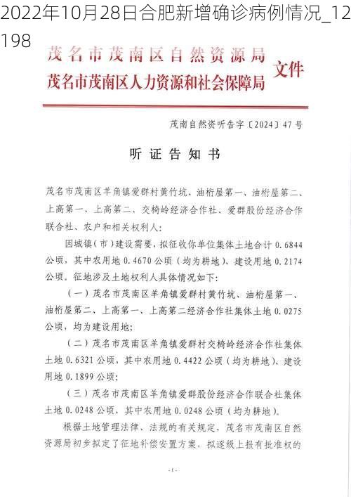 2022年10月28日合肥新增确诊病例情况_12198