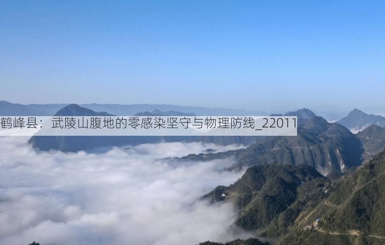 鹤峰县：武陵山腹地的零感染坚守与物理防线_22011