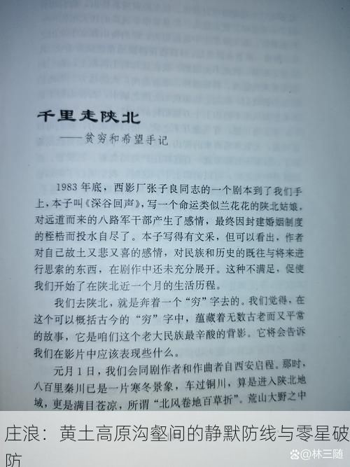 庄浪：黄土高原沟壑间的静默防线与零星破防
