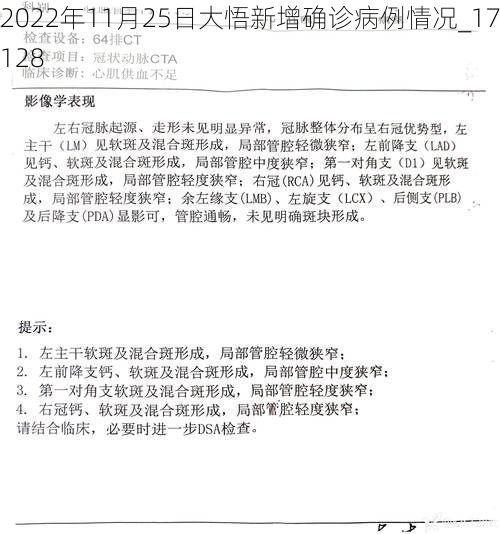 2022年11月25日大悟新增确诊病例情况_17128