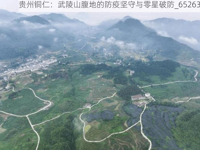 贵州铜仁：武陵山腹地的防疫坚守与零星破防_65263