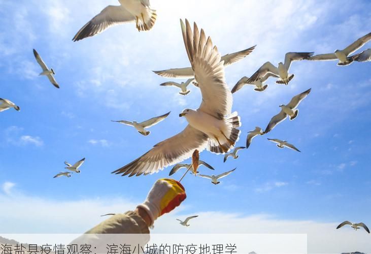 海盐县疫情观察：滨海小城的防疫地理学