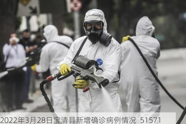 2022年3月28日宝清县新增确诊病例情况_51571