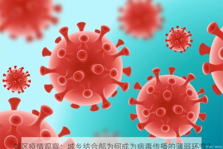 郊区疫情观察：城乡结合部为何成为病毒传播的薄弱环节？