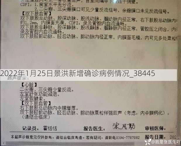 2022年1月25日景洪新增确诊病例情况_38445