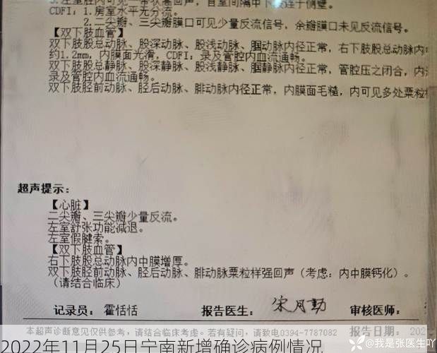 2022年11月25日宁南新增确诊病例情况