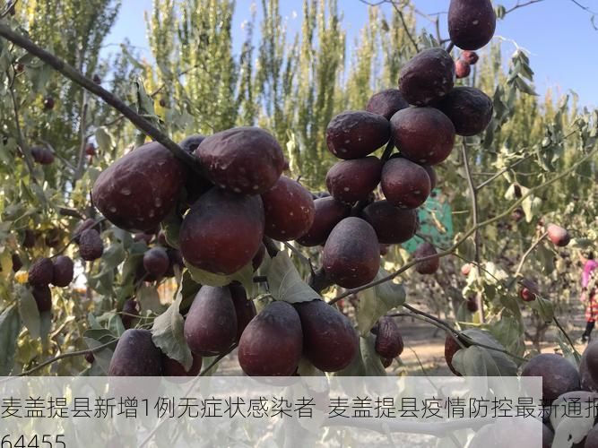 麦盖提县新增1例无症状感染者  麦盖提县疫情防控最新通报_64455