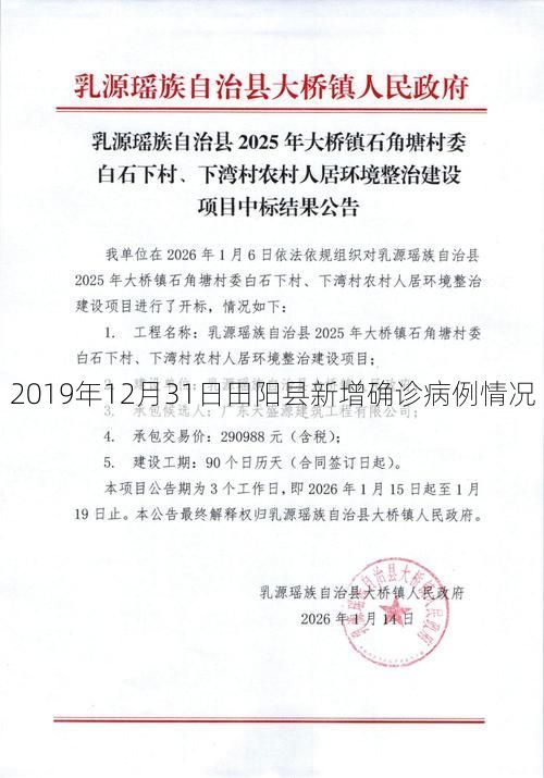 2019年12月31日田阳县新增确诊病例情况