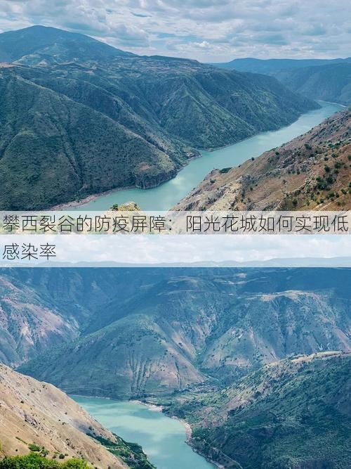 攀西裂谷的防疫屏障：阳光花城如何实现低感染率