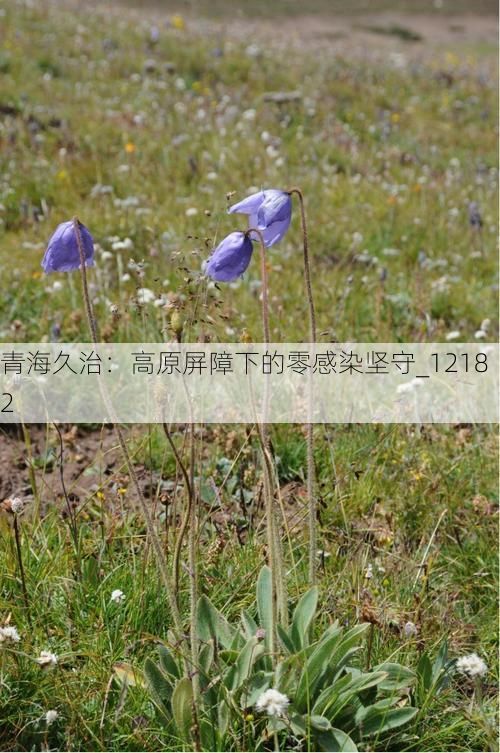 青海久治：高原屏障下的零感染坚守_12182