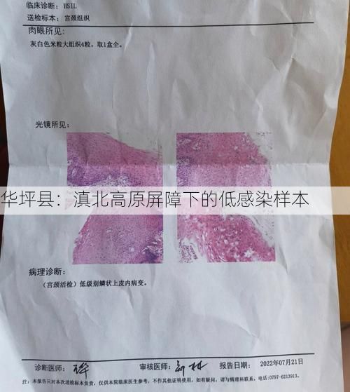 华坪县：滇北高原屏障下的低感染样本