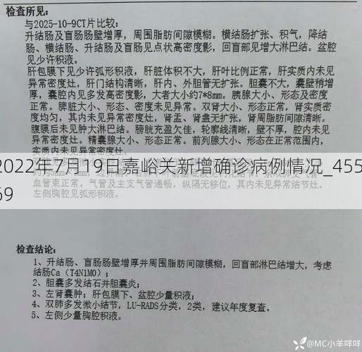 2022年7月19日嘉峪关新增确诊病例情况_45569