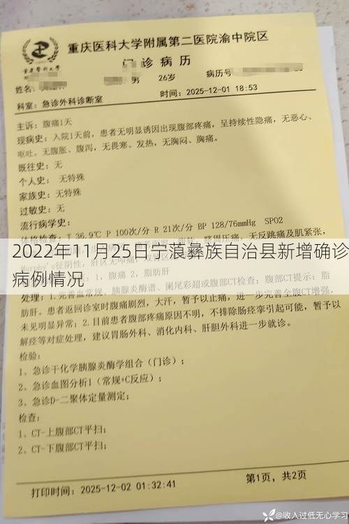 2022年11月25日宁蒗彝族自治县新增确诊病例情况